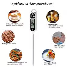 Digital Meat & Kitchen Thermometer