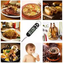 Digital Meat & Kitchen Thermometer